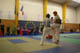 Thomas VITY Open National FSKO Prmesques-2006